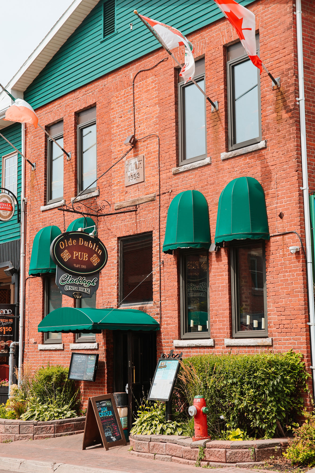 Olde-Dublin-Pub-2025-by-Harley---IMG_9519web